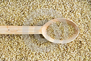 Background texture of cracked wheat