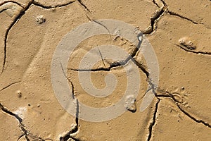 Background texture of cracks in clayey soils
