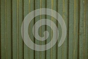 Background texture of decorative green cladding