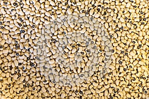 Background texture of dried black-eyed peas or beans