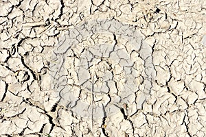 Background and texture of dried and cracked brown mud