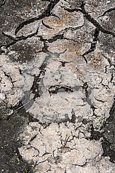 Background texture dried muddy ground with large cracks