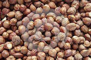 Background and texture of dried organic hazelnuts