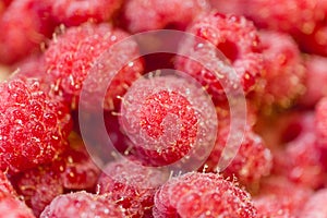 Background texture of dripping frash raspberry.