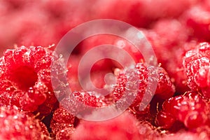 Background texture of dripping raspberry.
