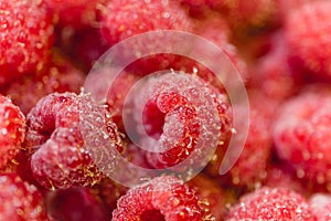 Background texture of dripping raspberry.