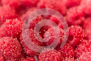 Background texture of dripping raspberry.