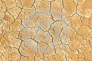 Background, texture - dry earth with mudcracks