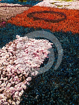 Textura de flores conectado sobre el tela sobre el hacer típico 