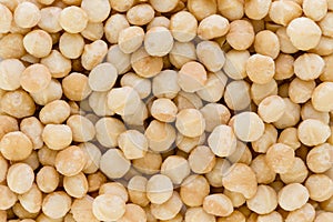 Background texture of fresh natural macadamia nuts