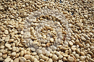 Background texture of fresh raw dried coffee beans to be roasted