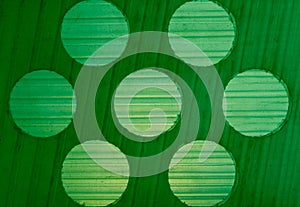 Background texture gradations and circle pattern on green plastic