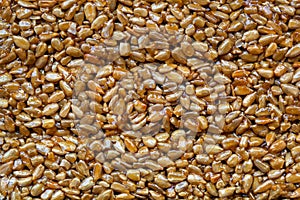Background texture grain closeup Sunflower