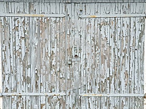 Background texture gray broken paint on old garage wooden door with a lock