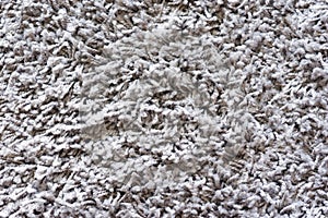 texture of gray carpet
