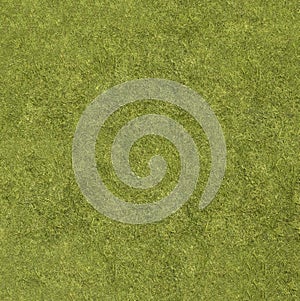 Background texture of green grass close-up view from above
