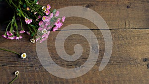 Background texture of grunge wood board and little pink flowers.