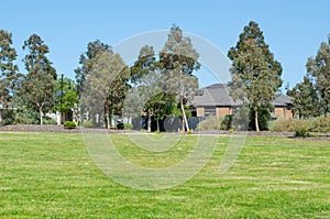 Background texture of gum trees and green grass lawn in a local park with some Australian suburban residential houses