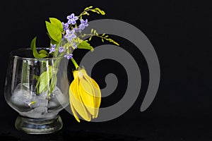 Background texture iced ,water in glass with purple flower, yellow flowers ylang ylang