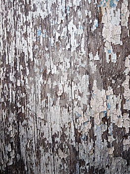 Background and texture images of old woodwork