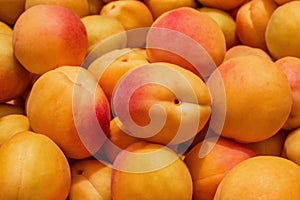 Background / texture of juicy, fresh apricots. Ripe apricots Latin: Prunus armeniaca, close-up