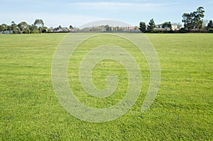 Background texture of a large public local park with green and healthy grass and with some trees and residential houses in the