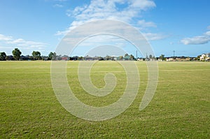 Background texture of a large sports ground with green grass against blue sky with some Australian suburban homes in the distance.