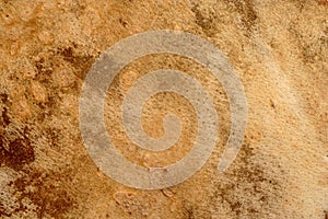 Background texture: Leather