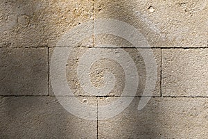 Background, texture of a light limestone wall, coquina blocks.