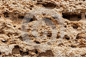 Background. The texture of limestone and lime close up. Formed by sedimentary rocks