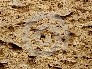 background texture of limestone stone surface. Shell limestone close-up as background