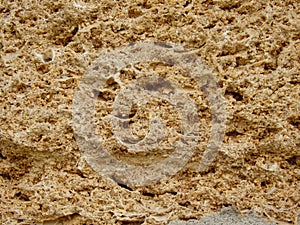 background texture of limestone stone surface. Shell limestone close-up as background