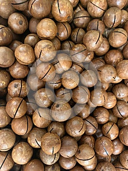 Background, texture. Macadamia nuts in shell. Photo