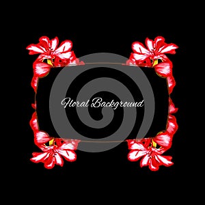 Background texture made of geranium