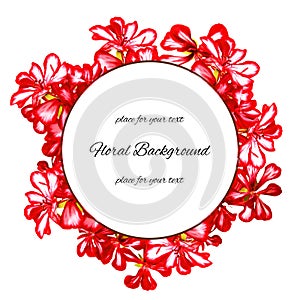 Background texture made of geranium