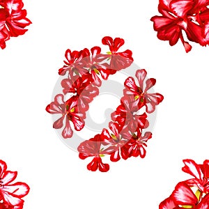 Background texture made of geranium