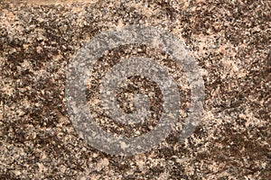 Background, texture. Natural stone granite. multi-colored - red, gray.