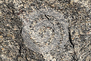 Background, texture. Natural stone granite. multi-colored - red, gray.