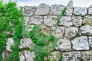 Background texture old stone wall plants sky