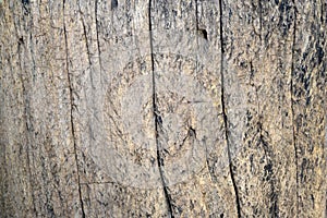 Background texture of an old wood panel composed of boards or planks for a vintage or rustic themed concept