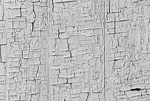 Background texture of an old wooden surface with white peeling paint