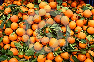 Background texture of orange fruit with green leaves. Oranges on the counter.