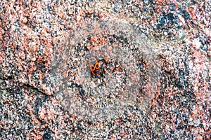 background texture, pattern. Granite tiles facing the city's bui