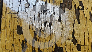 Background of texture and pattern of old wooden wall