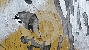 Background of texture and pattern of old wooden wall