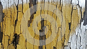 Background of texture and pattern of old wooden wall