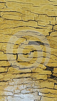 Background of texture and pattern of old wooden wall