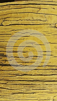 Background of texture and pattern of old wooden wall
