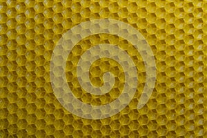 Background texture and pattern of section voshchina of wax honeycomb from a bee hive for filled with honey. Voshchina an