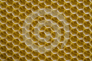 Background texture and pattern of section voshchina of wax honeycomb from a bee hive for filled with honey. Voshchina an